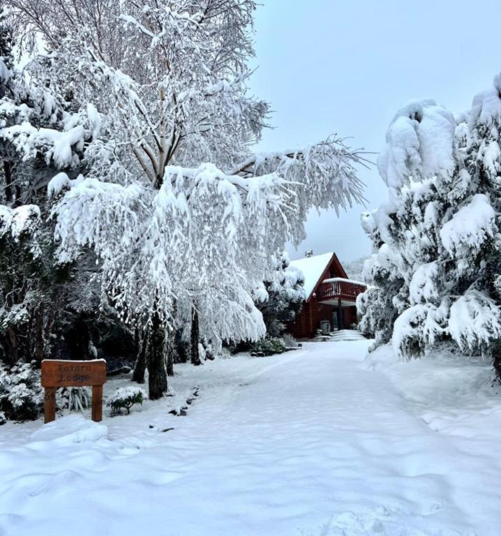Totara Lodge - Unwind, Relax & Enjoy - Mt Lyford Exterior foto